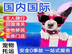 奇台江机场货运国际宠物托运 【国